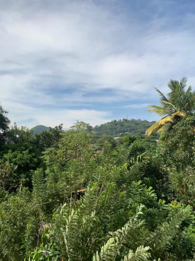 Sura Homestay 캔디 외부 사진